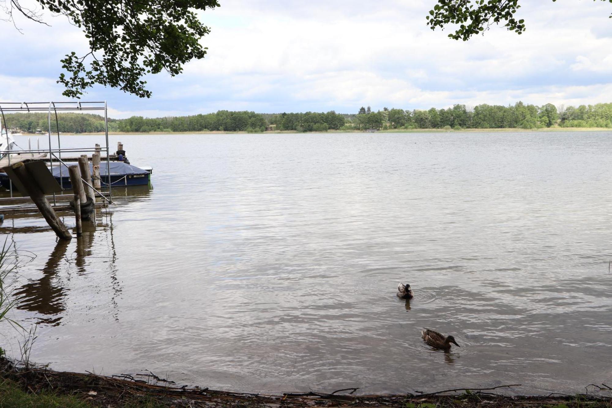 Ferienwohnung Amsel Rheinsberg Bagian luar foto